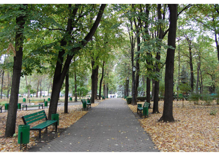 Infrastructura străzilor din localitățile urbane în anul 2024