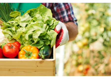 Evoluția preţurilor producătorului la produsele agricole în ianuarie-martie 2025